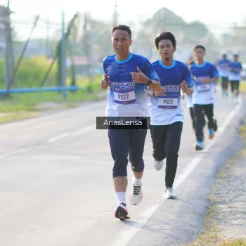 Runner Photo 3465395