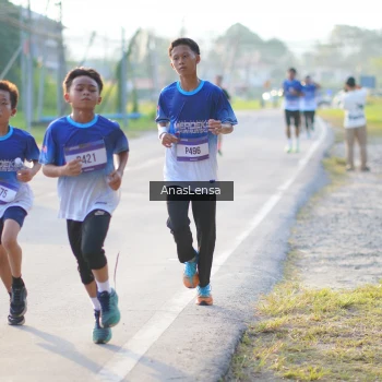 Runner Photo 3465491