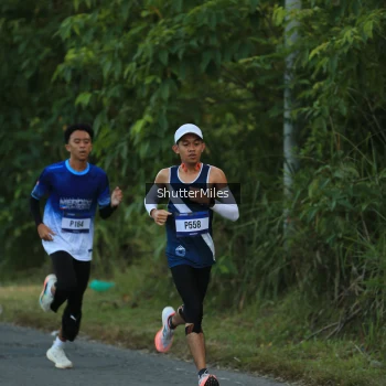 Runner Photo 3465527