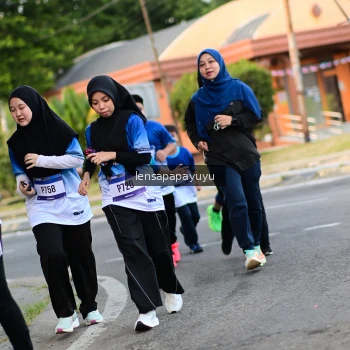 Runner Photo 3465864