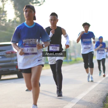 Runner Photo 3466195