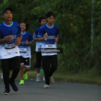 Runner Photo 3466208