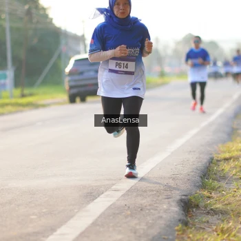 Runner Photo 3466248