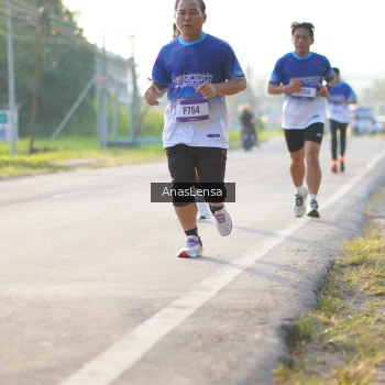 Runner Photo 3466456