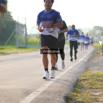 Runner Photo 3468052