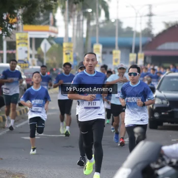 Runner Photo 3468259