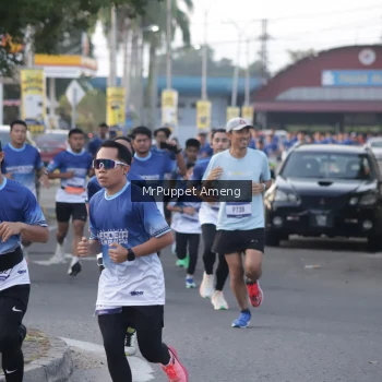 Runner Photo 3468316