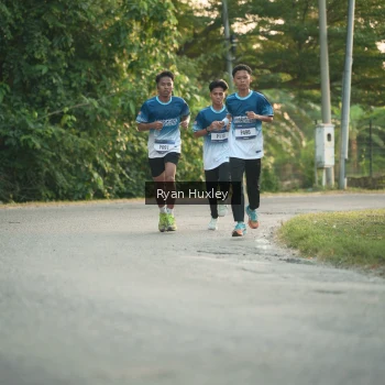 Runner Photo 3468463