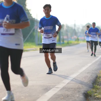 Runner Photo 3469093