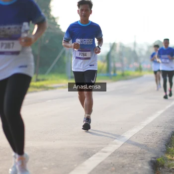 Runner Photo 3469096