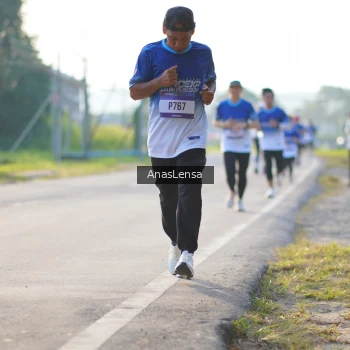 Runner Photo 3469383