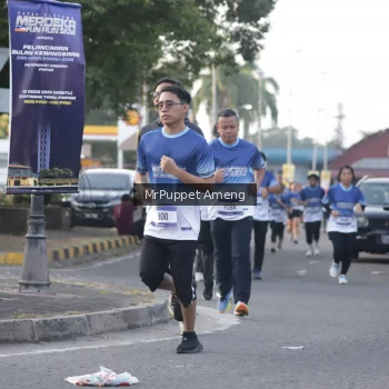 Runner Photo 3471552