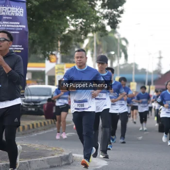 Runner Photo 3471636