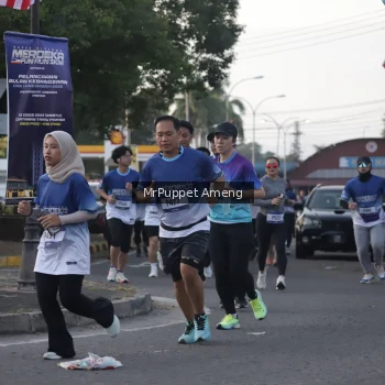 Runner Photo 3472309