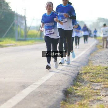 Runner Photo 3472773