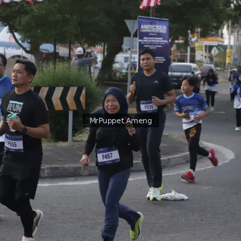 Runner Photo 3473261