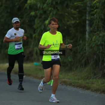 Runner Photo 3473540