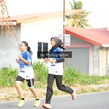 Runner Photo 3477476