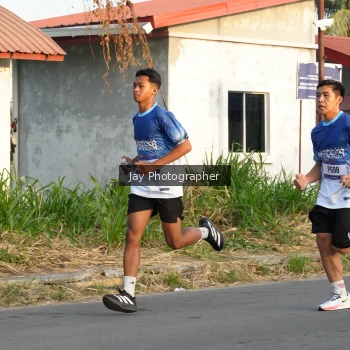 Runner Photo 3478207