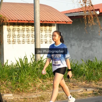 Runner Photo 3478507