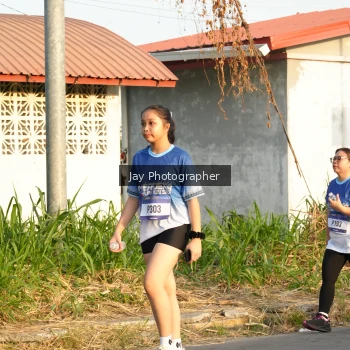 Runner Photo 3478509