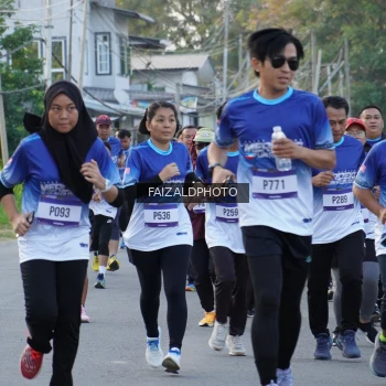 Runner Photo 3478560
