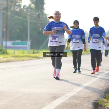 Runner Photo 3478569