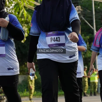 Runner Photo 3478642