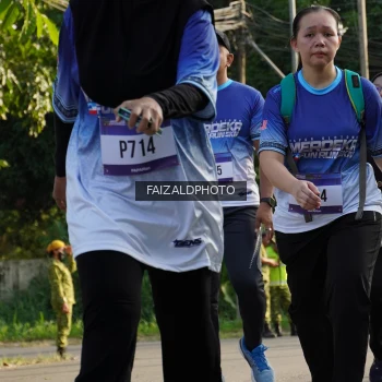 Runner Photo 3478729