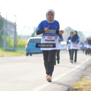 Runner Photo 3480167