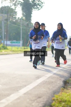 Runner Photo 3480447