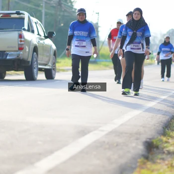 Runner Photo 3480842