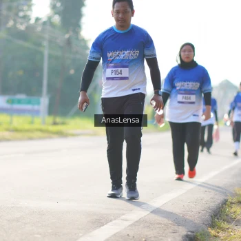 Runner Photo 3481131