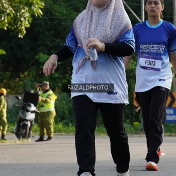 Runner Photo 3481171