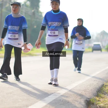 Runner Photo 3481205