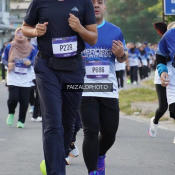 Runner Photo 3482366