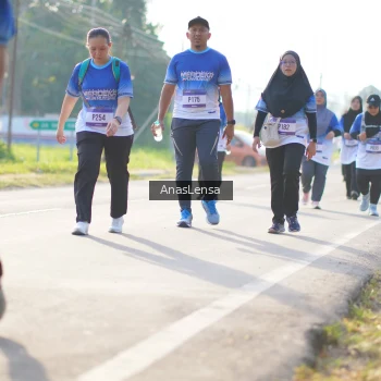Runner Photo 3482458