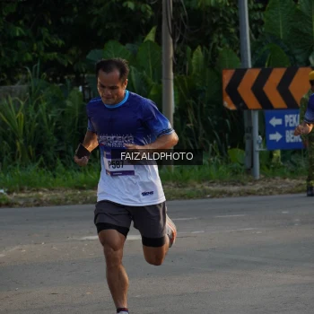 Runner Photo 3483382