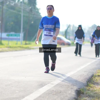 Runner Photo 3483865