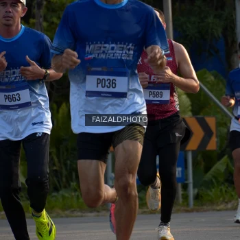 Runner Photo 3484553