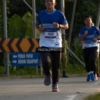 Runner Photo 3487351