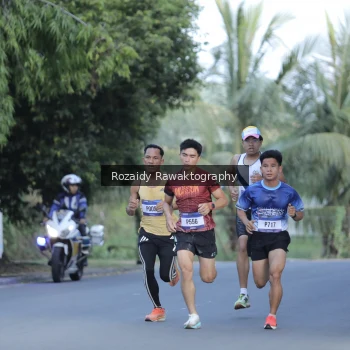 Runner Photo 3487795