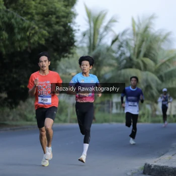 Runner Photo 3487798