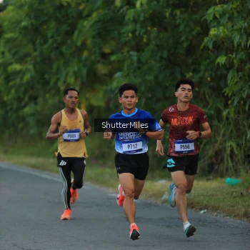 Runner Photo 3491890