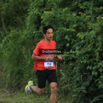 Runner Photo 3491918