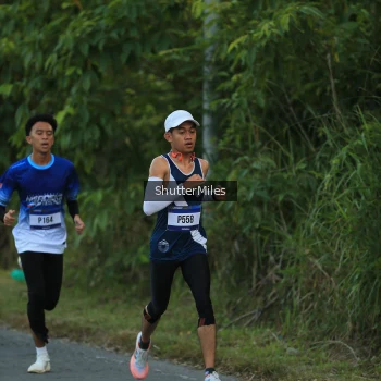 Runner Photo 3491949