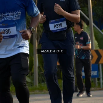Runner Photo 3494005
