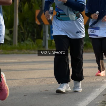 Runner Photo 3496028