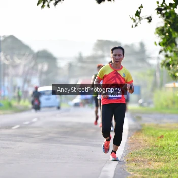 Runner Photo 3496282