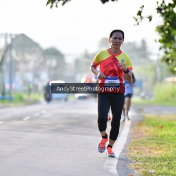 Runner Photo 3496300